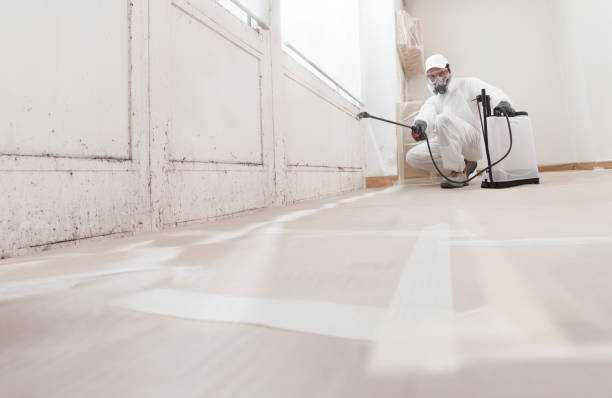 24/7 Emergency Mold Remediation experts in Callao, VA