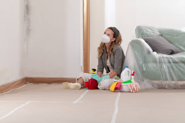 Reliable Mold Remediation contractor in Callao, VA by 24 Hour Mold Removal